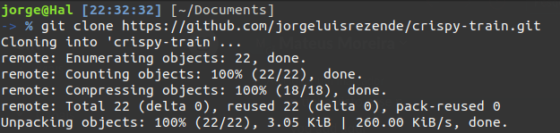 Resultado da execução do comando git clone